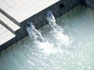 una fuente de agua en un estanque de agua en FOG villa&spa, en Kirishima