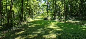 Příroda nedaleko apartmánu + 5 fotografií