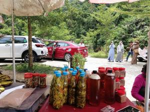 Billede fra billedgalleriet på Quốc Cảnh Homestay i A Lưới (1)