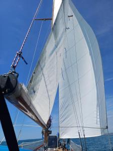 una vela bianca su una barca in acqua di Atypique a Le Grau-du-Roi