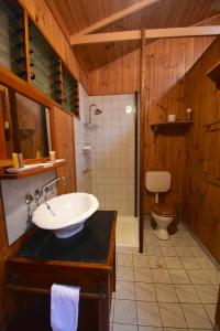 a bathroom with a sink and a toilet at Daintree Cascades in Cape Tribulation