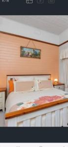 a bedroom with a bed with a picture on the wall at Aeris Country Cottage in Junee