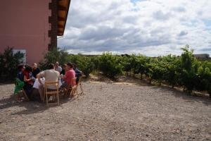 a group of people sitting at a table in a vineyard at Carpe Diem in Navaridas