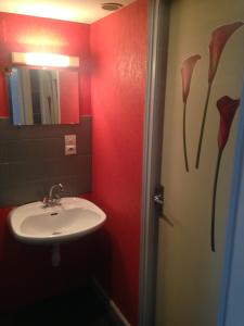 Łazienka z umywalką i czerwoną ścianą ozdobioną kwiatami w obiekcie Studios des Thermes w mieście Bourbonne-les-Bains