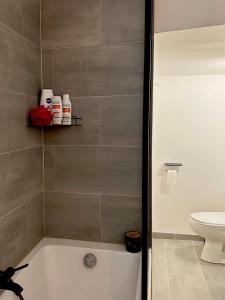 a bathroom with a bath tub and a toilet at Maison Simone in Samois-sur-Seine +27 photos