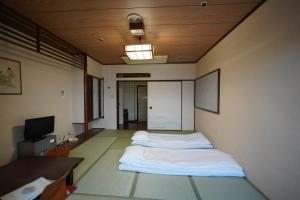 a room with a bed and a desk and a television at Grand Hotel Taiyo in Shioura +174 photos