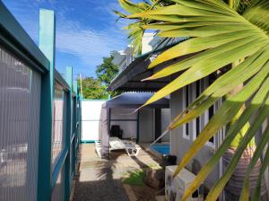 a view from the outside of a house with a palm tree at Piscines Privées et Chauffées, Private Heated Pools in Grand-Baie