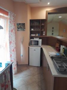 a kitchen with a counter top with a microwave at Apartmán Soběslav in Soběslav
