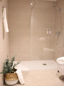 a bathroom with a shower and a potted plant at Apartamento Larrabide Boho Chic in Pamplona
