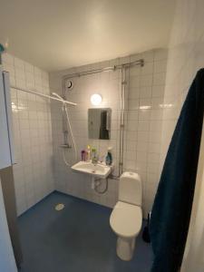 a bathroom with a toilet and a sink at Studio Apartment in Gothenburg in Gothenburg +4 photos