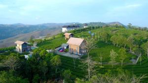 an aerial view of a farm on a hill at Cloud Canopy - Tea Garden Family Pool Cottage in Vagamon in Vagamon