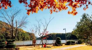 a park with trees and a body of water at Den Basta Hotel bifc in Busan