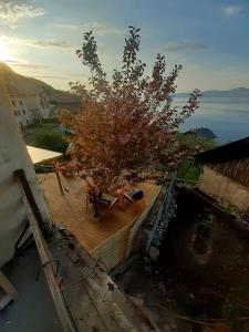 Billede fra billedgalleriet på La terrasse sur le Lac i Saint-Gingolph