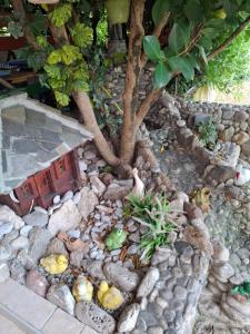 Imagen de la galería de Apartmani Paulino, en Herceg-Novi