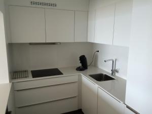 A kitchen or kitchenette at Splendid 0705