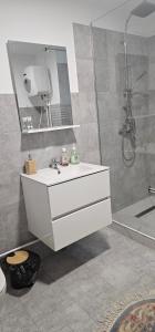 a bathroom with a white sink and a shower at Cabana Dara in Cumpăna