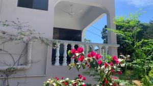a balcony of a house with red flowers at Alilo Apartment in Victoria +1 photo