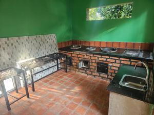 a kitchen with green walls and a brick counter top at Nguru Farm Cottages in Wakiso