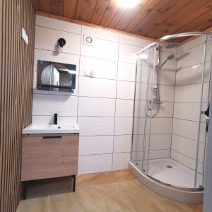un bagno con doccia e lavandino di Siedlisko przy lesie Musiejówka 