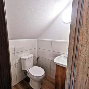 un piccolo bagno con un water e un lavandino di Siedlisko przy lesie Musiejówka  Altre 7 foto