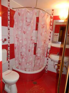un bagno con doccia, wc e lavandino di Pensiunea Cora a Piteşti Altre 42 foto