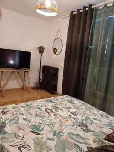 Μια τηλεόραση ή/και κέντρο ψυχαγωγίας στο Logement centre ville Buzançais