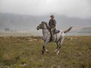 Gallery image of Wild Horses Lodge in Harrismith