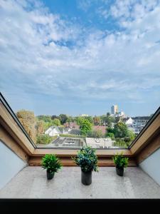 a window with three potted plants on a balcony at Charmante Maisonettewohnung im Herzen von Krefeld in Krefeld +20 photos