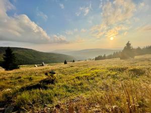 Φυσικό τοπίο κοντά σε αυτό το διαμέρισμα +6 φωτογραφίες
