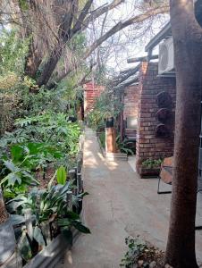 Κήπος έξω από το Charis Guesthouse +16 φωτογραφίες