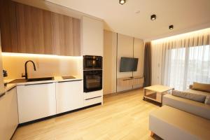 a kitchen and living room with a couch and a television at Sunrise Luxury Apartments in Fanari