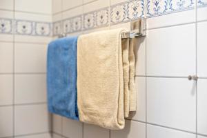 a towel hanging on a towel rack in a bathroom at Fewo Brünnstein - Nr 5 Pool, Sauna in Oberaudorf +12 photos