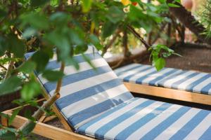 deux chaises bleues et blanches assises sous un arbre dans l'établissement Villa Chiara - Lavi Luxury Apartments, à Capri 58 autres photos
