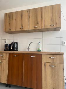 une cuisine avec des armoires en bois et un évier dans l'établissement Căsuța de la Răscruce, à Câmpulung Moldovenesc