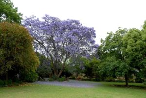 Gallery image of Longtom Farm Guesthouse in Lydenburg