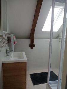 a bathroom with a sink and a shower at Etape de l'Oust in Lantillac