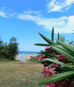 Φυσικό τοπίο κοντά σε αυτό το διαμέρισμα +51 φωτογραφίες