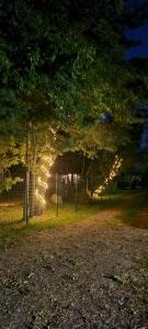 a group of trees with lights under a fence at Namelis Šventoji in Palanga