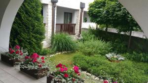 Vonkajšia záhrada v ubytovaní Apartament Stary Kazimierz - Apartamenty Pod Aniołem