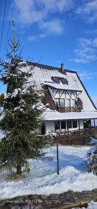 una casa con techo cubierto de nieve y un árbol en Cabana Escape Mountain Belis, en Beliş