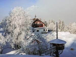 Το Dirtlergut τον χειμώνα +25 φωτογραφίες
