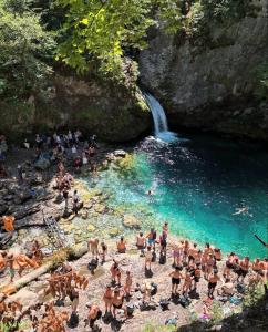 Ảnh trong thư viện ảnh của Thethi Mountain Guesthaouse ở Theth +18 ảnh