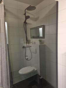a bathroom with a shower with a toilet and a mirror at Grindavik Apartment in Grindavík