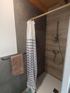 a shower with a shower curtain in a bathroom at Chalet de l'Aiguille Noire in Montricher-Albanne