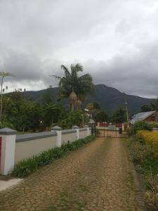 un camino de tierra con una valla y una palmera en Jan se Bo-Kaap Self Catering, en Stormsrivier