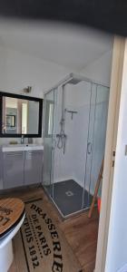 a shower with a glass door in a bathroom at STUDIO bord de mer in San-Nicolao