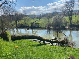 Gallery image of Wohnung mit Blick auf die Nied in Rehlingen-Siersburg +23 photos