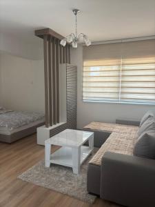 a living room with a couch and a table at Apartman A2 in Vrnjačka Banja