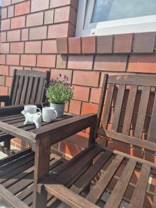 a wooden table with two cups and a plant on it at Ferienwohnung Fehnzauber, 86005 in Ostrhauderfehn