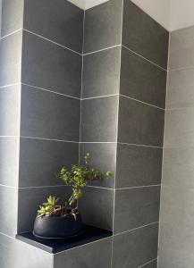 a black tiled wall with a potted plant on a shelf at Bed Cafè in Siracusa
